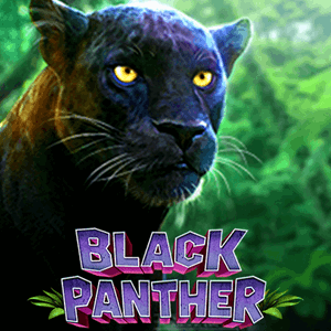 /upload/imgapi/gmw/TPBlackPanther.png