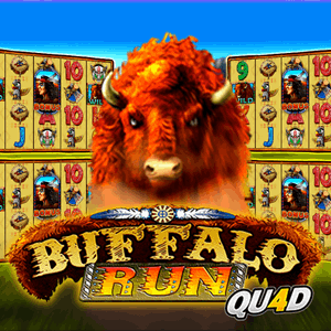 /upload/imgapi/gmw/TPBuffaloRunQuad.png